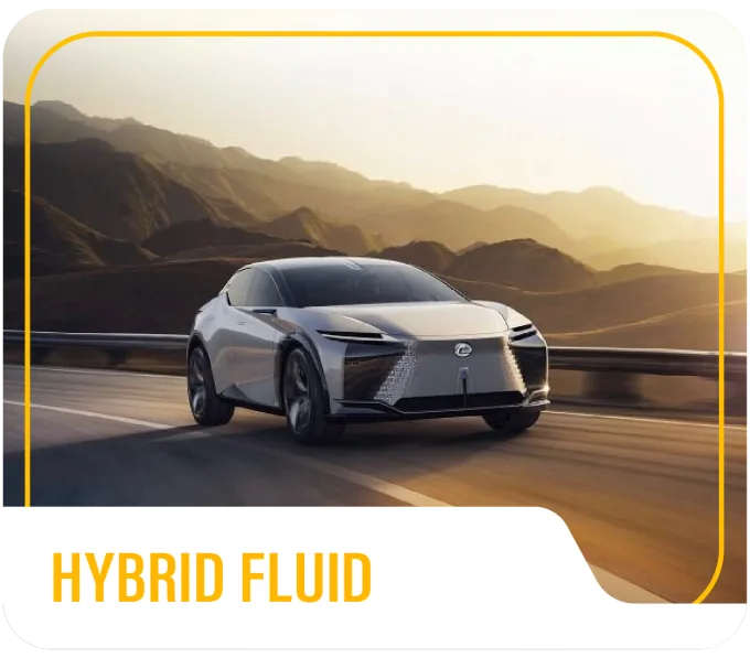 Hybrid Fluid